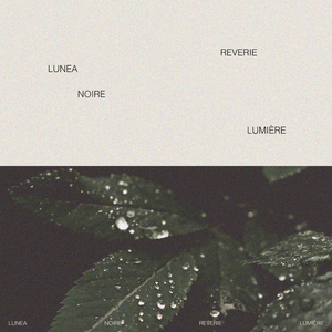 黄色性爱高潮网站在线免费观看视频
